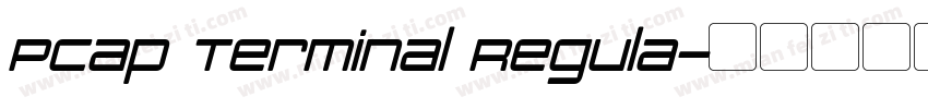 PCap Terminal Regula字体转换